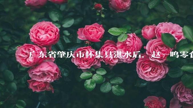 广东省肇庆市怀集县洪水后，赵一鸣零食店被哄抢，物资和收银机里面的几千块钱被哄抢一空，如何评价？