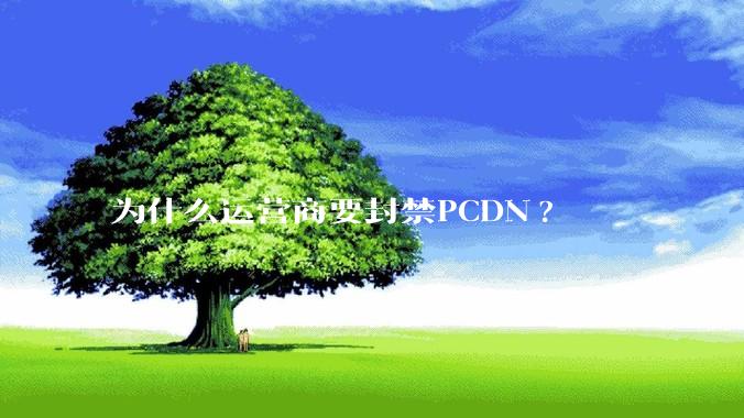 为什么运营商要封禁PCDN?