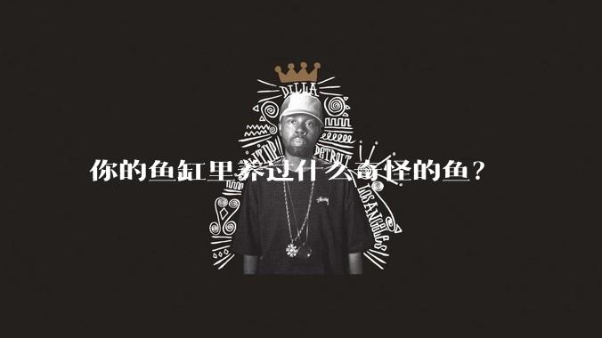 你的鱼缸里养过什么奇怪的鱼？