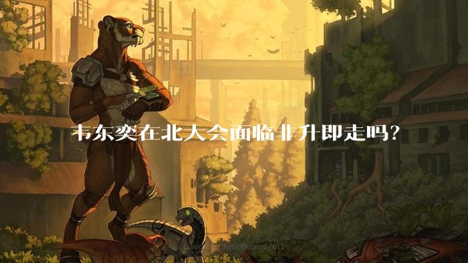 韦东奕在北大会面临非升即走吗？