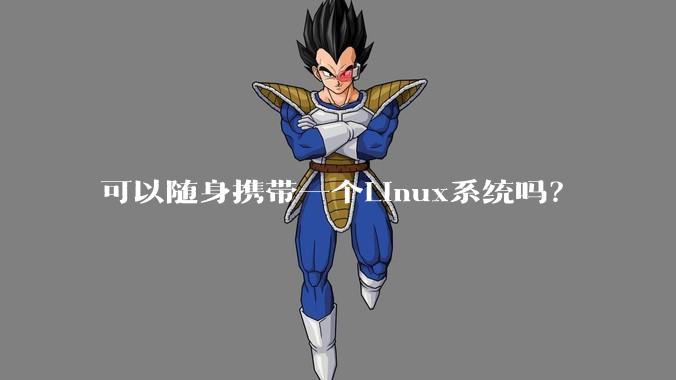 可以随身携带一个Linux系统吗？
