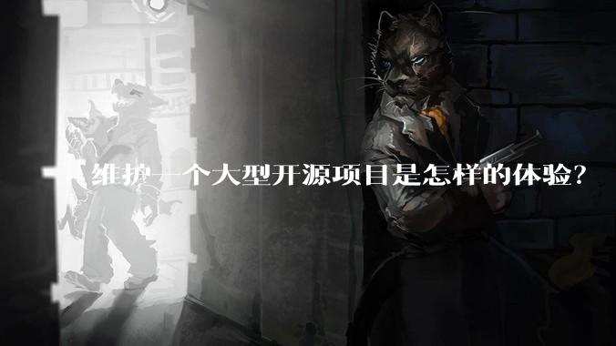 维护一个大型开源项目是怎样的体验？