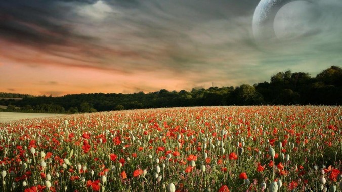 电视机为什么有大流量上传?